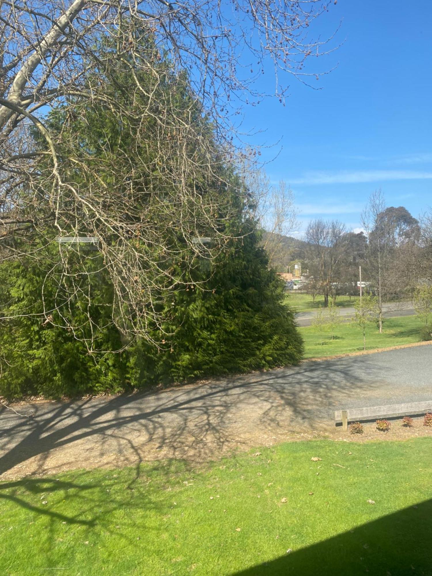 Tumbarumba Motel & Elms Restaurant Экстерьер фото