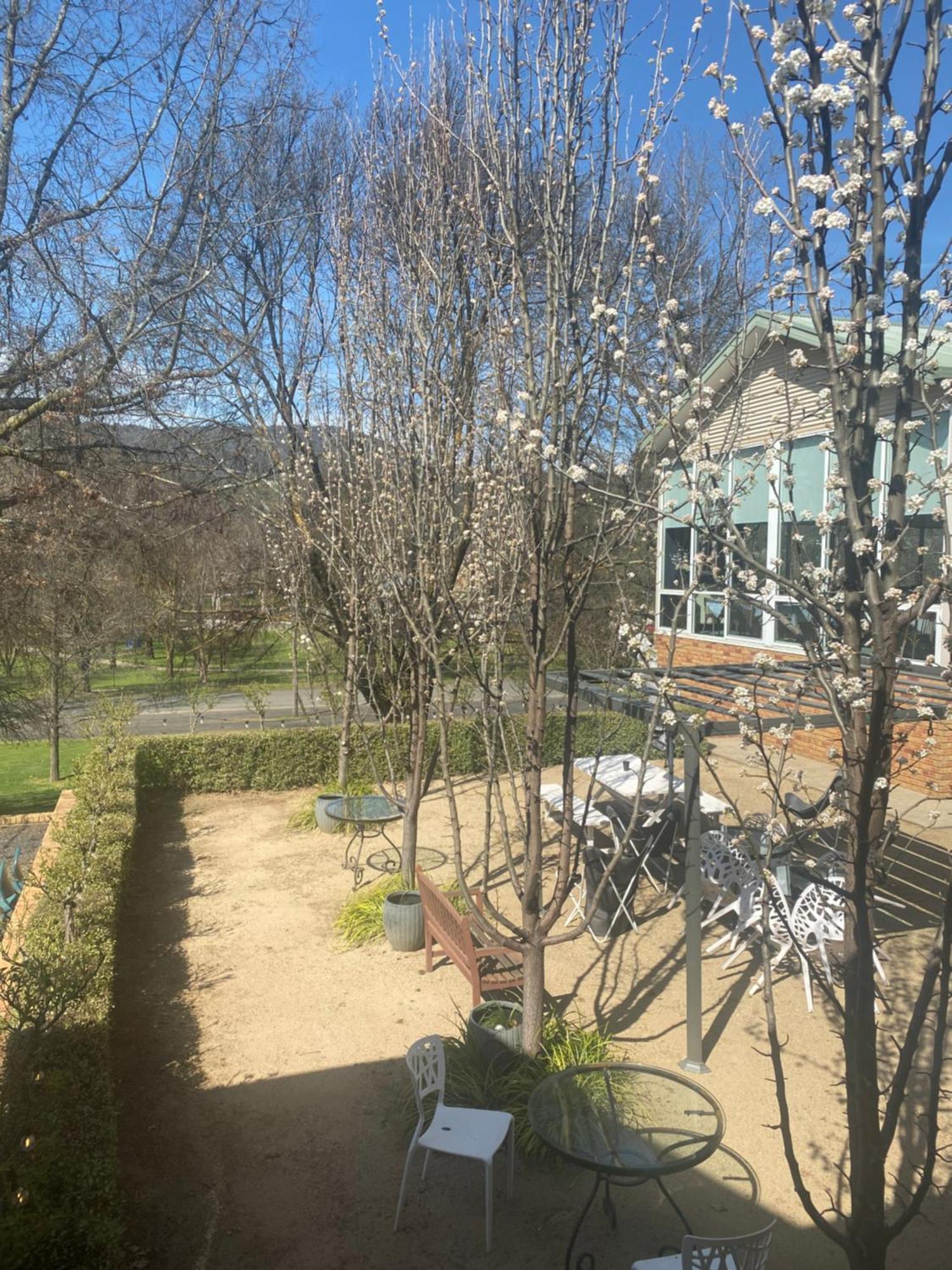 Tumbarumba Motel & Elms Restaurant Экстерьер фото